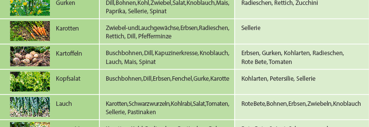 Tabelle bezüglich verschiedener Gemüsesorten 